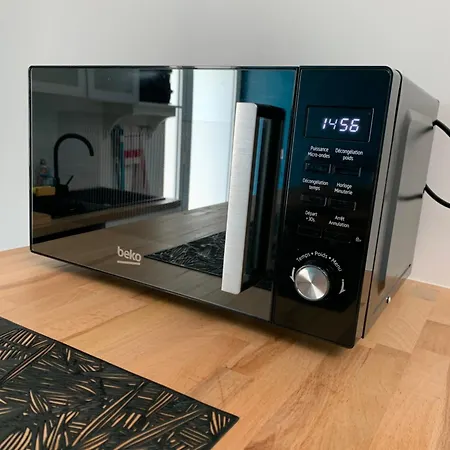 Au Calme Proche Chateau De Launac, Animaparc Lejlighed