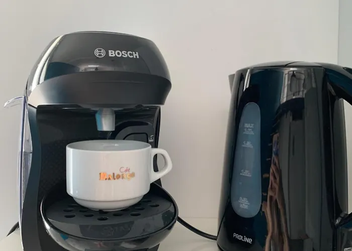 Au Calme Proche Chateau De Launac, Animaparc